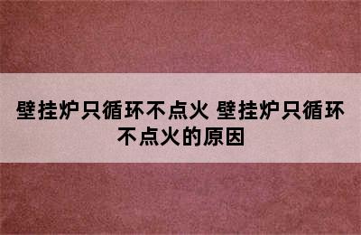 壁挂炉只循环不点火 壁挂炉只循环不点火的原因